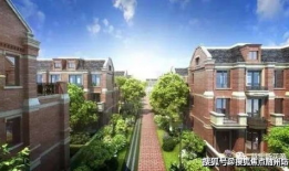 上海金融圈最新吃瓜爆料,揭秘神秘事件背后的真相